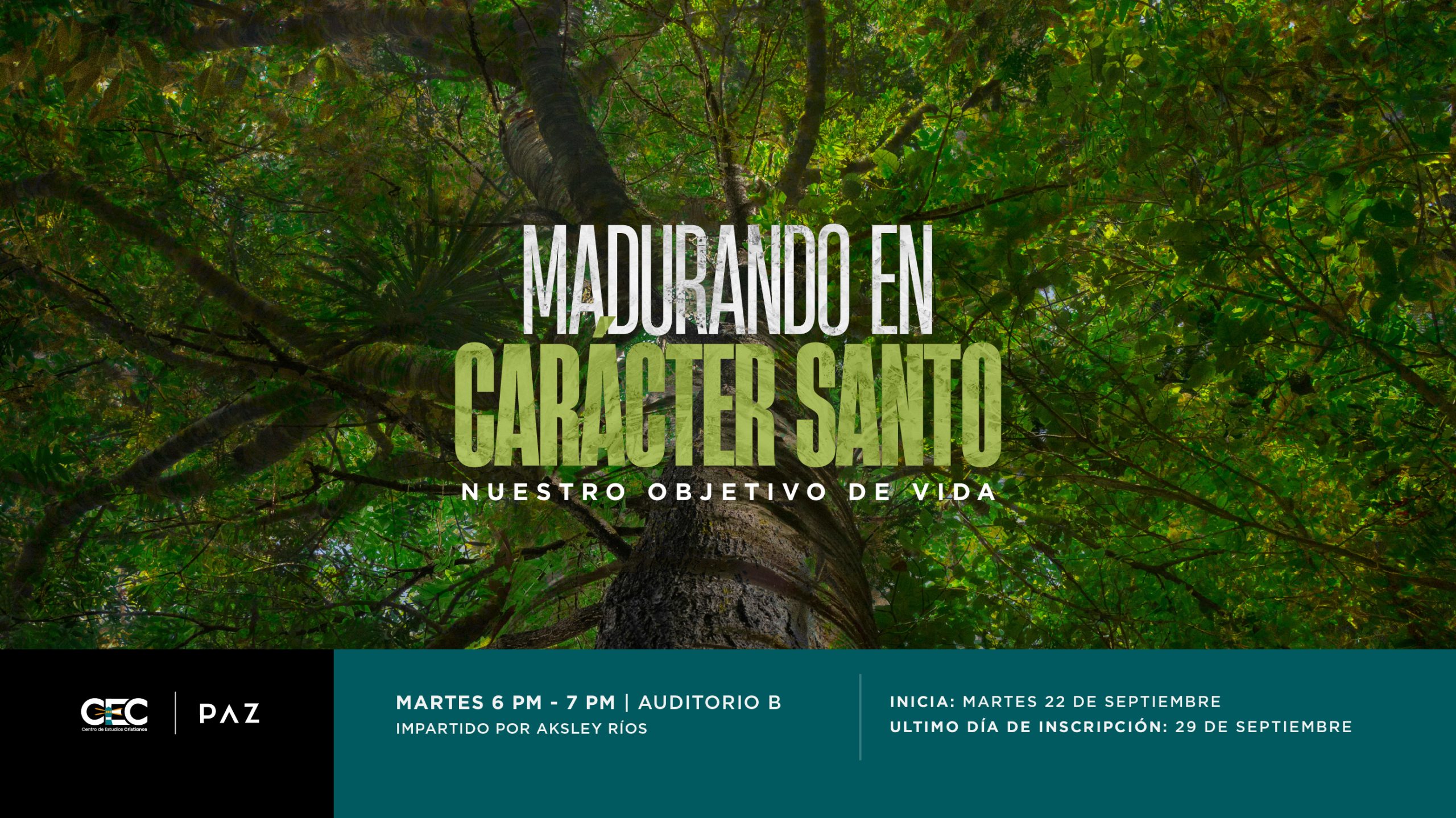 Cursos-17 (1)